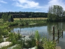 Mannersdorfer Teich_1